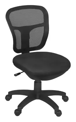 Mesh Back Task Chair - Harrison