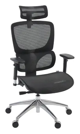 Mesh Ergonomic Executive Chair - Omega