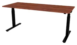 Electric Sit Stand Desk - PL Laminate