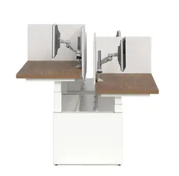 4 Person Height Adjustable Desk with Privacy Panels - Cite