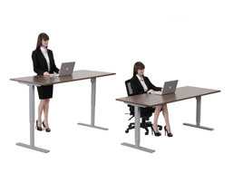 Sit Stand Desks