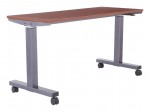 60 Pneumatic Height Adjustable Table