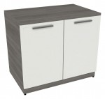 Storage Cabinet with Glass Doors