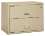 2 Drawer Lateral Fireproof File Cabinet - 38 Wide