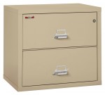 2 Drawer Lateral Fireproof File Cabinet - 32