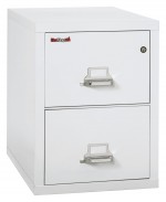 2 Drawer Vertical Fireproof File Cabinet - 21 Wide