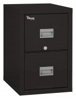 2 Drawer Fireproof File Cabinet - Legal & Letter Size