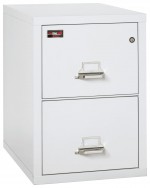 2 Drawer Fireproof File Cabinet - Legal Size