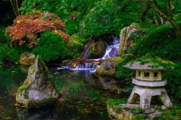 Japanese Garden - Office Wall Art - Lakes Rivers Waterfalls