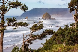 Cannon Beach - Office Wall Art - Pacific Nothwest